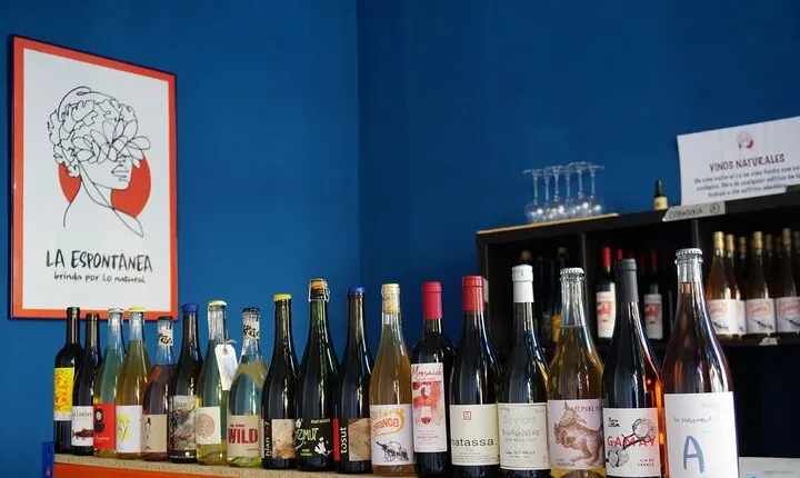 Small-Group Natural and Organic Wine Tasting near Sitges