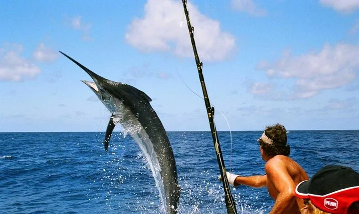 Ultimate Full-Day Big Game Fishing & Trolling Tour
