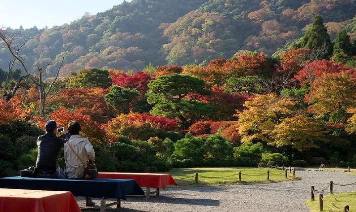 Kyoto's Arashiyama Bamboo Grove: 3-Hour Guided Tour