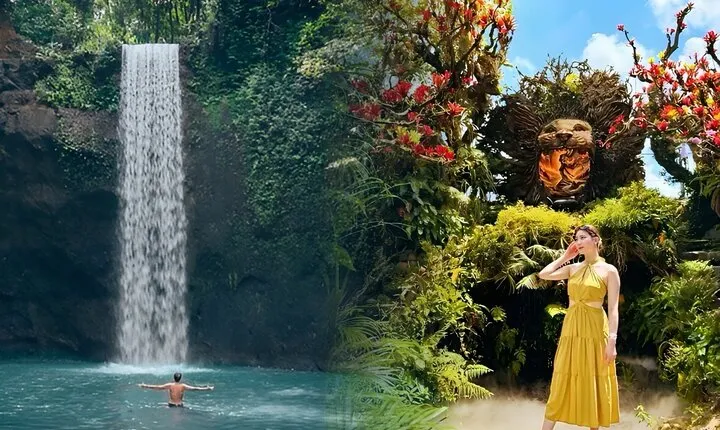 Private Ubud Instagrammable Tour - All Inclusive