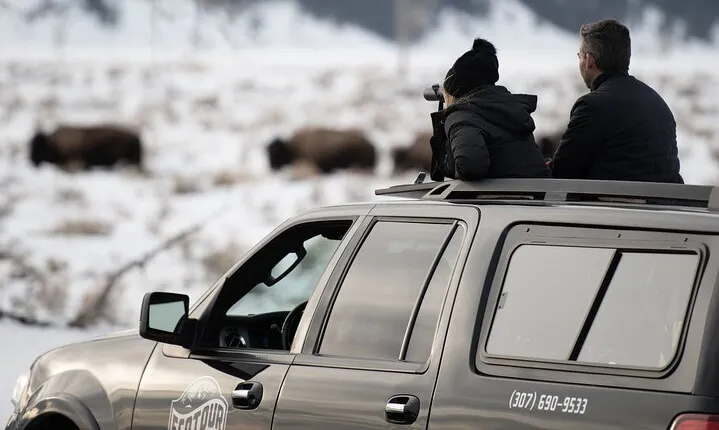 8 Hour Combination Snowshoe & Wildlife Viewing in Grand Teton National Park