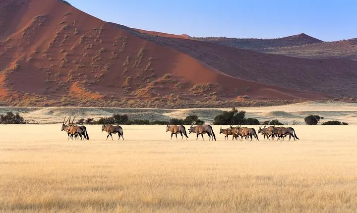 10 Days Namibia key highlights Lodging
