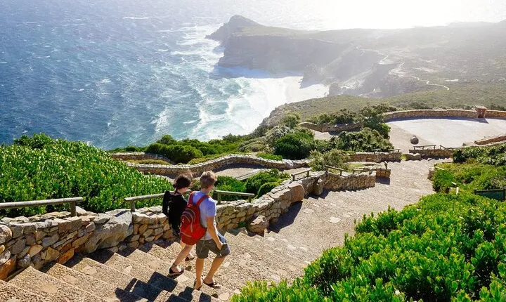 Cape Point and Boulder's Penguins Full Day Tour