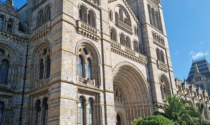 Discover the Natural Marvels of London A Museum Visit