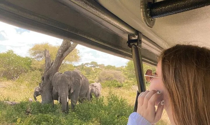 3 Days-Serengeti National Park Iconic Safari