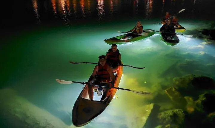 Sharkeys Glass Bottom Fish Feeding LED Night Tour St. Pete Beach