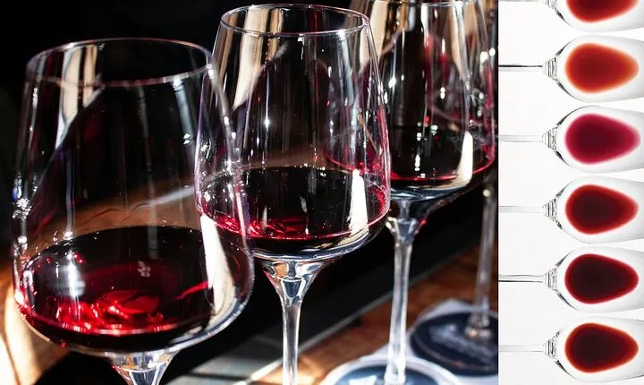 Milan: sensory journey to discover 3 unmissable red wines