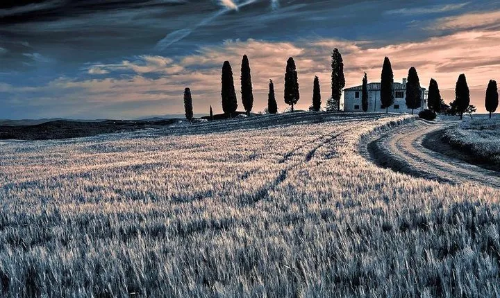 Day trip from Rome: Deluxe wine tasting in Montalcino - private tour