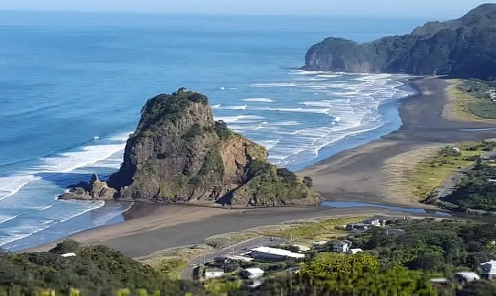 Afternoon Piha Beach and Rainforest Tour from Auckland