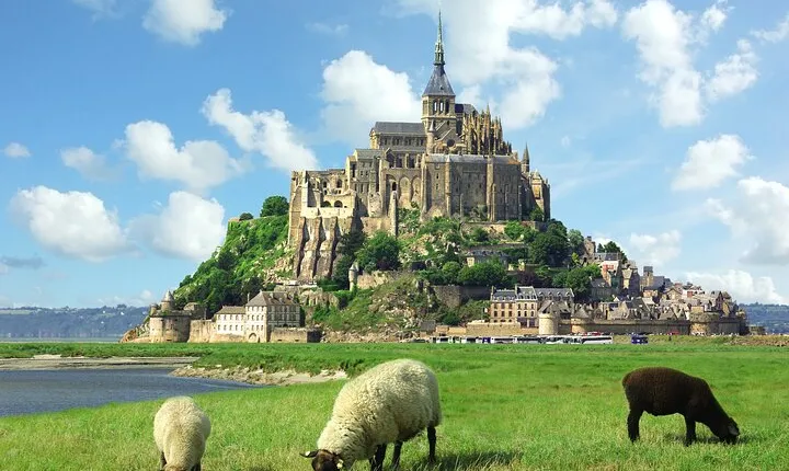 Normandy to Mont-Saint-Michel: Private Tour up to 8 pax per group