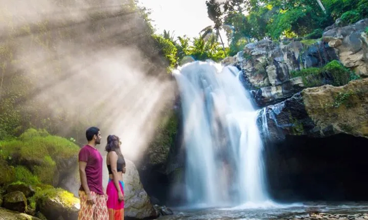 Bali : Monkey Forest, Rice terrace, temple & secluded Waterfall