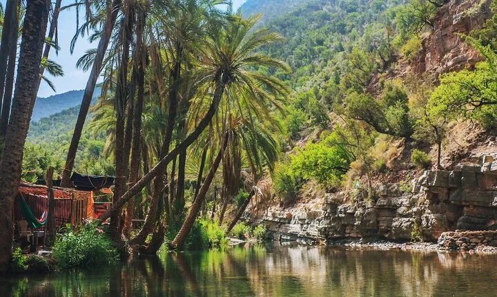 Agadir or Taghazout: Paradise Valley Atlas Mountain Swimming Trip