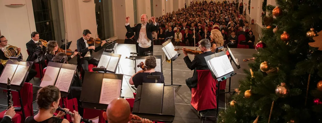 Christmas Market visit and Classical Concert at Schoenbrunn Palace