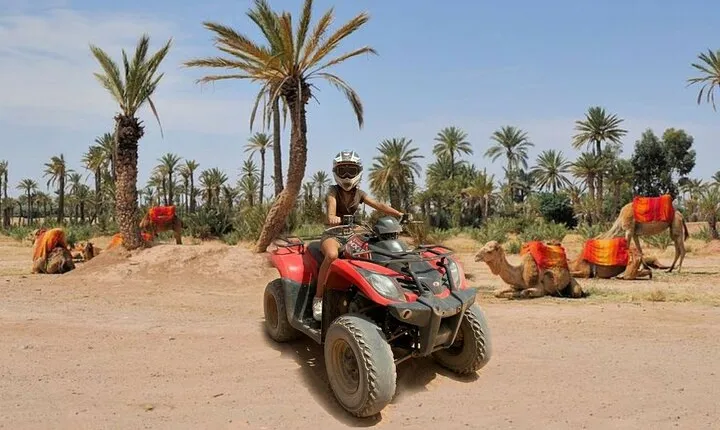 Marrakech: 2-Hour Quad Bike & Camel Ride in Palmeraie