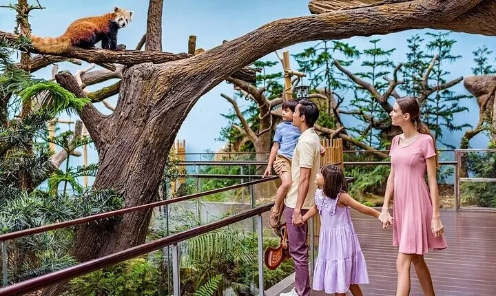 Singapore River Wonders Entry Ticket