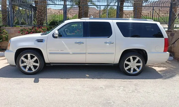 Jordan Tour: Private Driver - Luxurious car
