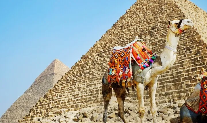 Amazing 8 Nights-Cairo,Pyramids,Cruise,Luxor,Aswan,Tours&Abu Simbel From Cairo