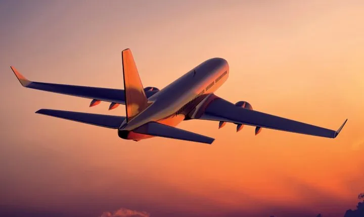 Private Arrival and Transfer Airport to Delhi Hotel by Car