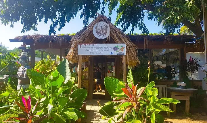 Chocolate Factory,Wildlife Encounter,Sightseeing,Beach in Roatan