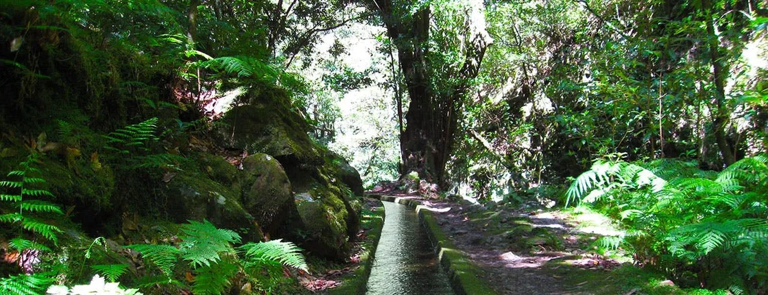 Hidden corners of King's Levada hiking tour