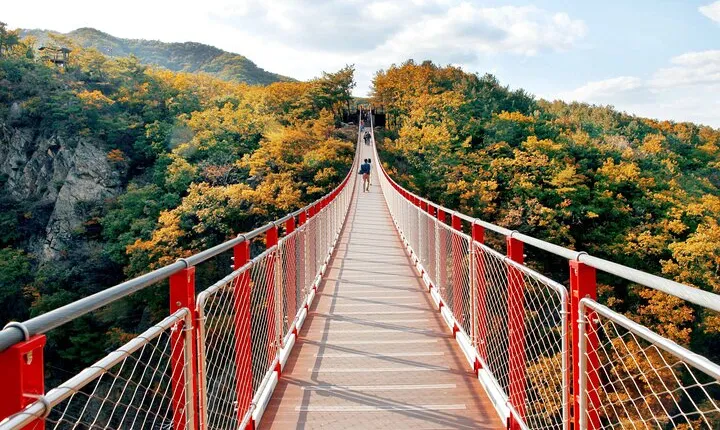 DMZ Tour from Seoul:3rd Tunnel,North Korea View,Suspension Bridge