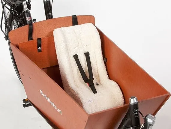 1-day cargo bike rental in Amsterdam