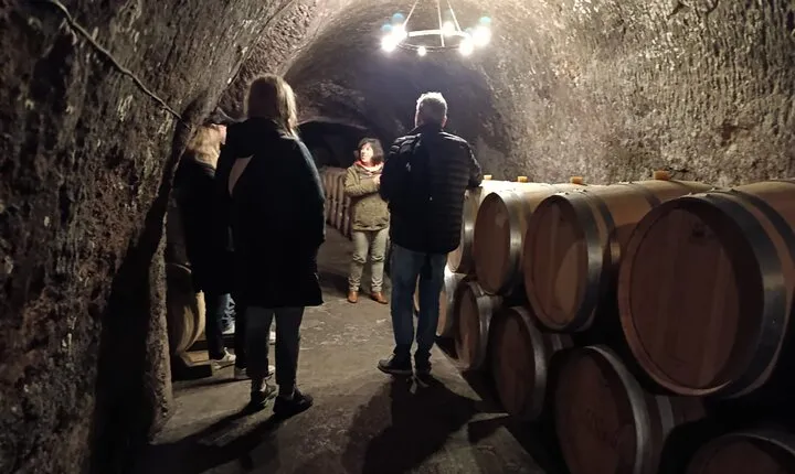 Ribera del Duero Wine Tour: Two Wineries and Tasting