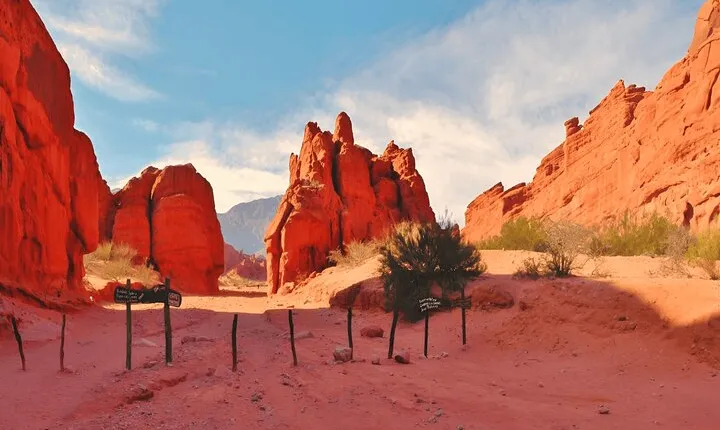From Salta: Full-Day Tour to Cafayate, Land of Wines