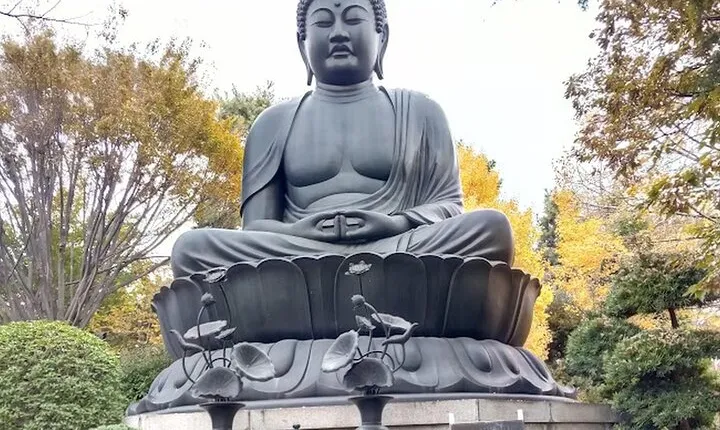 Walking tour, Tokyo Great Buddha, Botanical Garden, etc.