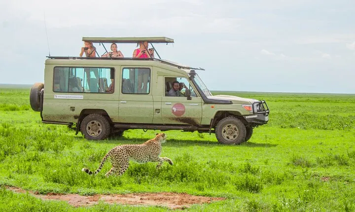 6 Day Tanzania Wildlife Mid range Safari
