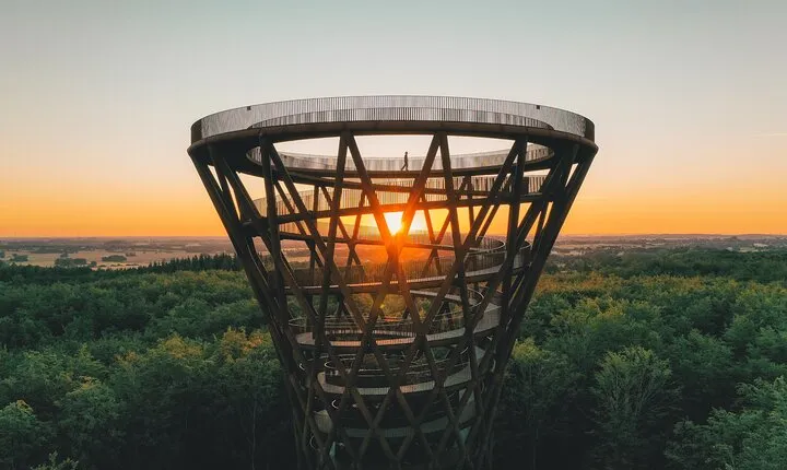 The Forest Tower and Forgotten Giants-A day tour from Copenhagen