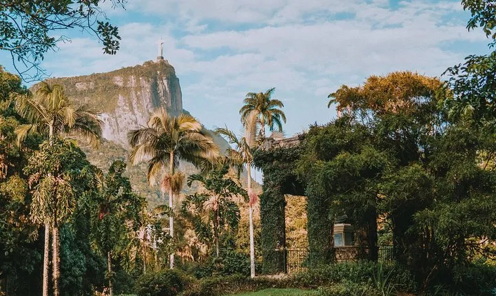Rio de Janeiro Botanical Garden & Tijuca Forest Tour