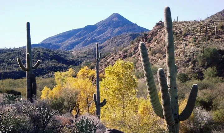 1-2 Hour Jewel of the Creek Private Guided Hiking Tour