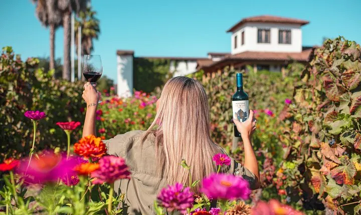 Private Wine Tour MontGras in Colchagua Valley from Santiago