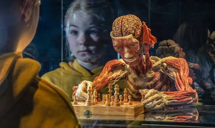Ticket Expo Body Worlds in Bruges, Belgium