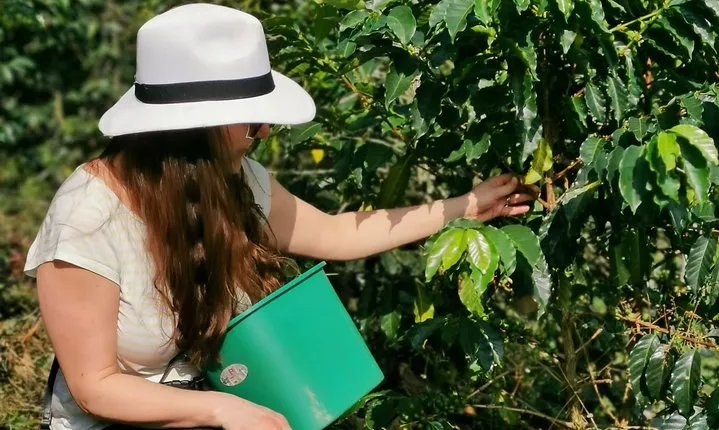 Comuna 13 & Coffee Farm Private Tour in Medellin | The Best Combo