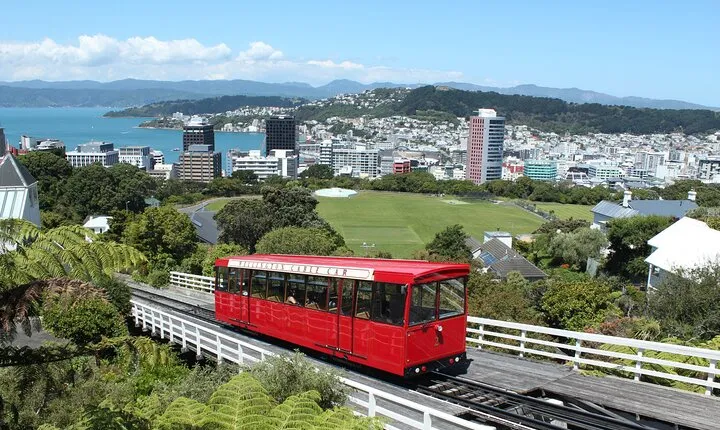 Wellington Scenic Full Day Tour