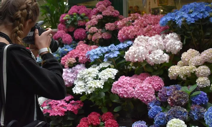 Marché Madness & Flea Markets: Full or Half day Privater Tours