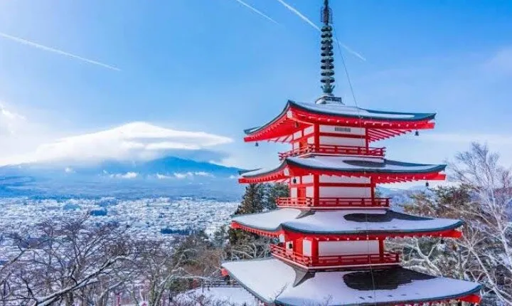 Full Day Mount Fuji Customized Tour with English Speaking Driver