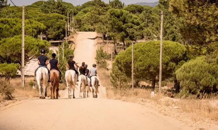 Private Alentejo Tour with Lunch and Horseback Ride along Melides Beach