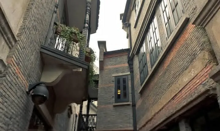 Private Colonial Walking Tour: Shanghai French Concession