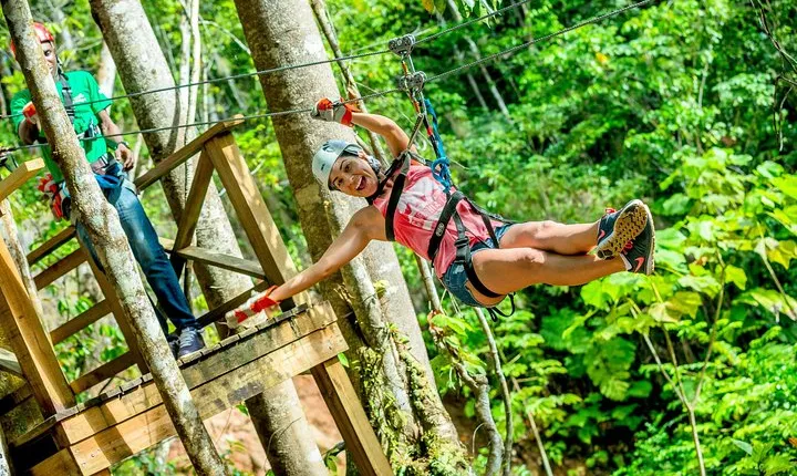 Treetop Zipline Experience From Castries