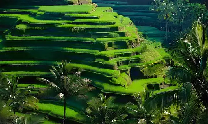Ubud: Monkey Forest, Water Temple, Rice Terrace, Waterfall