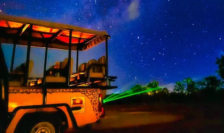Guided Night Experience and Stargazing in the Bush