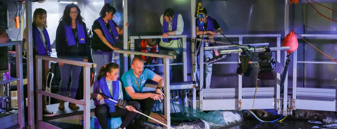 SEA LIFE Timmendorfer Strand tickets with behind-the-scenes tour