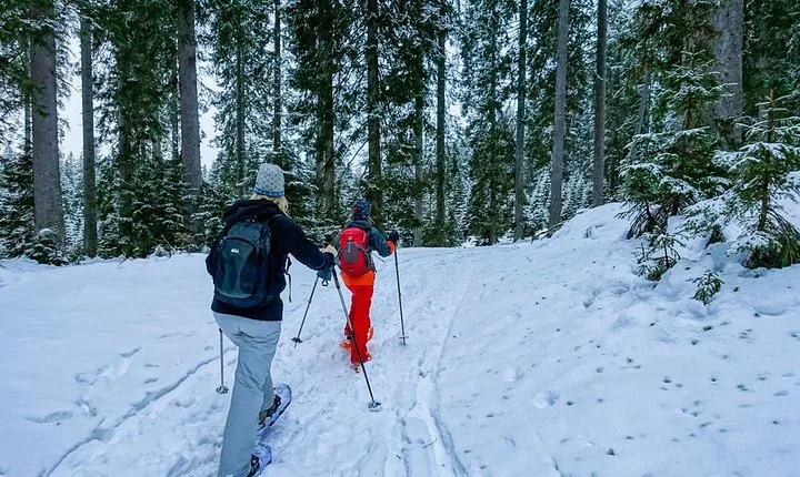Snowshoeing in Triglav national park