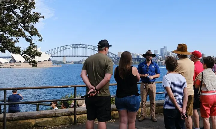 Morning or Afternoon Half-Day Sydney City Sightseeing Tour
