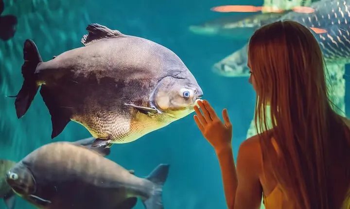 Barcelona Aquarium Skip-the-Line Tickets