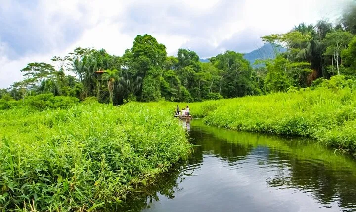3 Day Manu Amazon Rainforest (Private Tour)