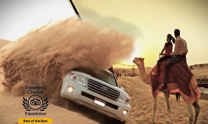 Qatar Gold Dune Safari, Dune Bashing,Camel Ride,Sand Boarding,Inland Sea Desert